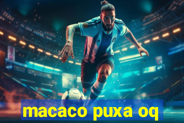 macaco puxa oq