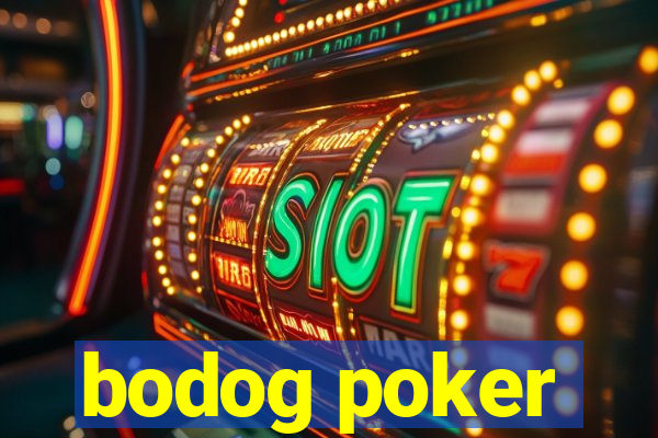 bodog poker