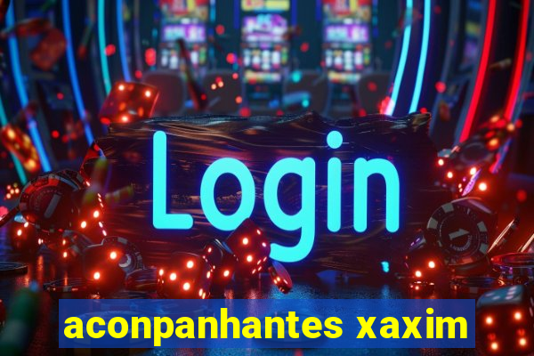 aconpanhantes xaxim