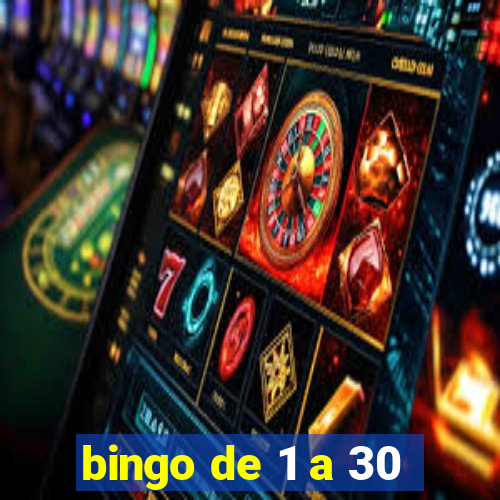 bingo de 1 a 30