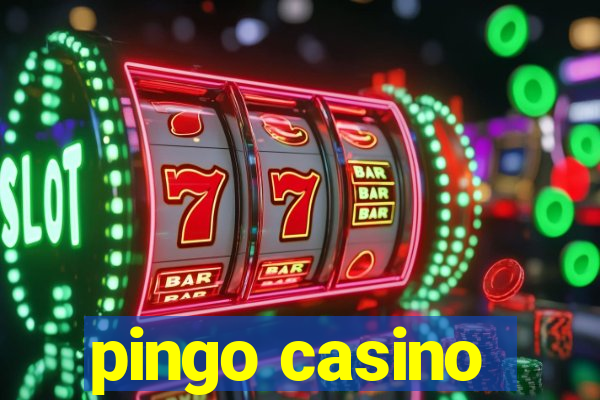 pingo casino