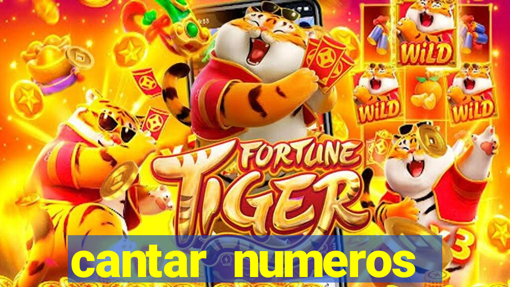 cantar numeros bingo online