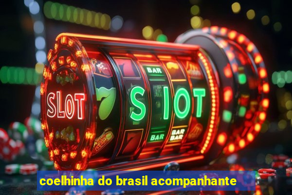 coelhinha do brasil acompanhante