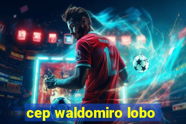 cep waldomiro lobo