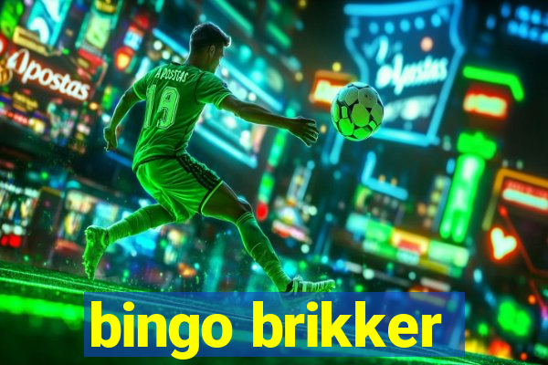 bingo brikker