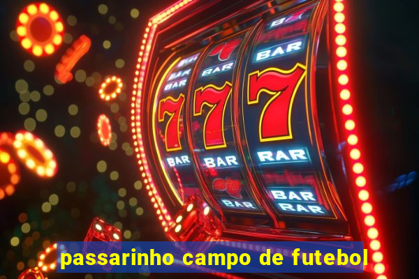 passarinho campo de futebol