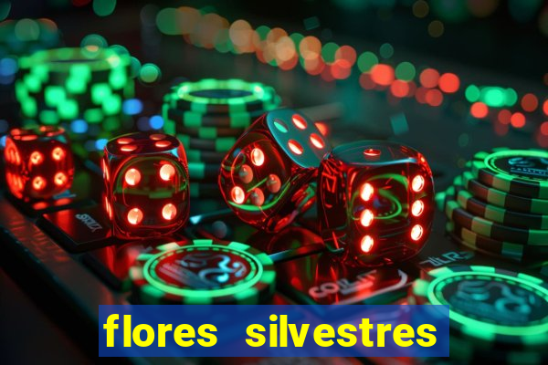 flores silvestres desbravadores desbravadores 25