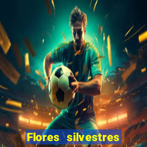 Flores silvestres brasileiras brasileiras flores silvestres nomes e imagens