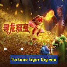 fortune tiger big win