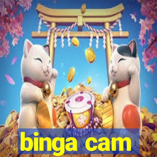 binga cam