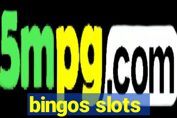 bingos slots