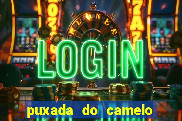 puxada do camelo no jogo do bicho