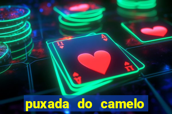 puxada do camelo no jogo do bicho