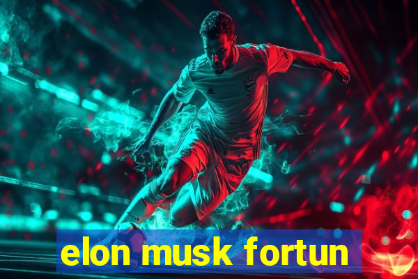 elon musk fortun