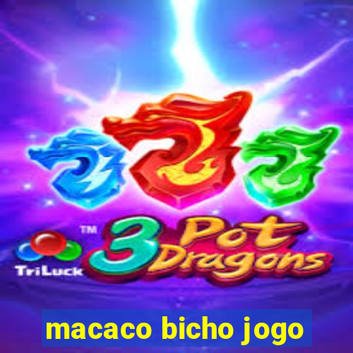 macaco bicho jogo