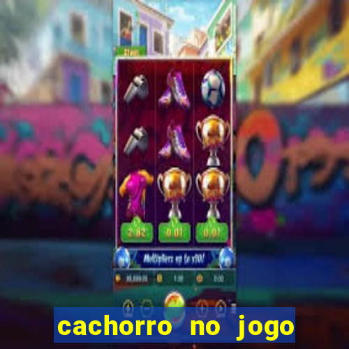 cachorro no jogo do bicho