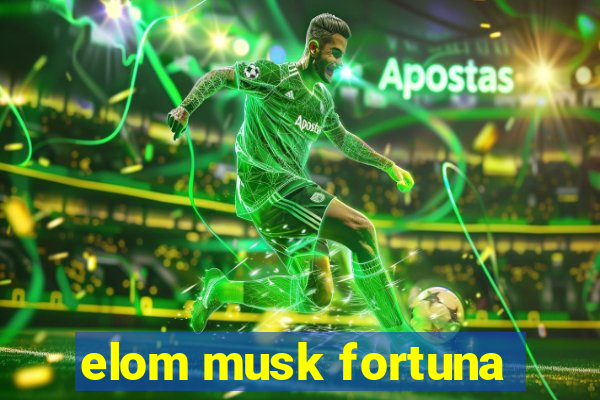 elom musk fortuna