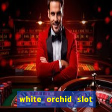 white orchid slot machine free