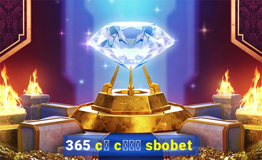 365 c谩 c瓢峄 sbobet