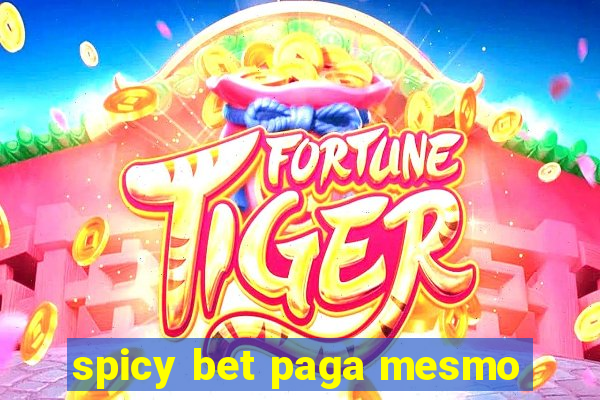 spicy bet paga mesmo