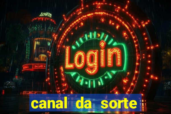 canal da sorte bingo de hoje