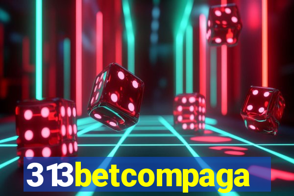 313betcompaga