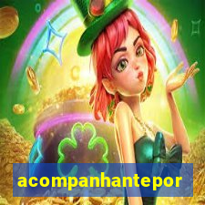 acompanhanteportovelho