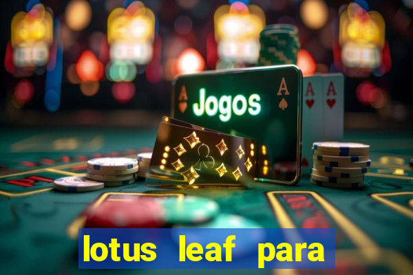 lotus leaf para que serve