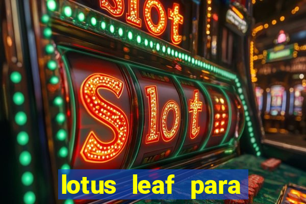 lotus leaf para que serve