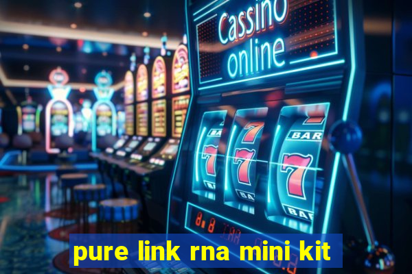 pure link rna mini kit