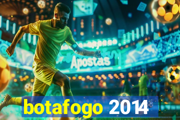 botafogo 2014