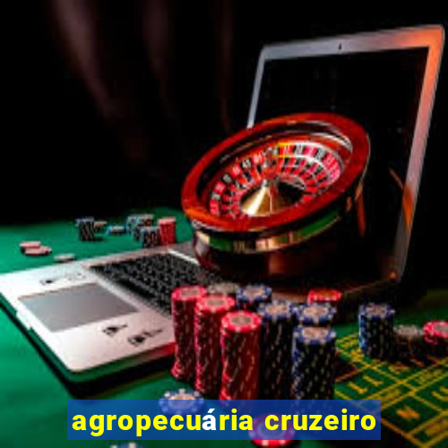 agropecuária cruzeiro