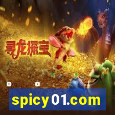 spicy01.com