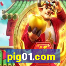 pig01.com