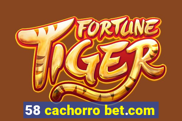 58 cachorro bet.com