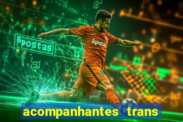 acompanhantes trans em santos