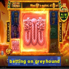 betting on greyhound