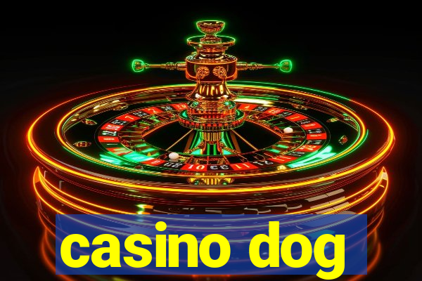 casino dog