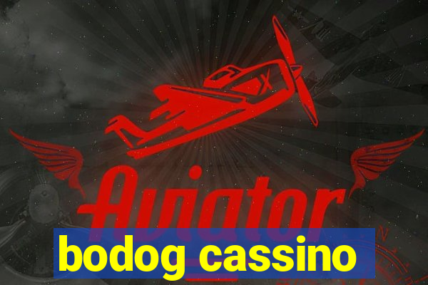 bodog cassino