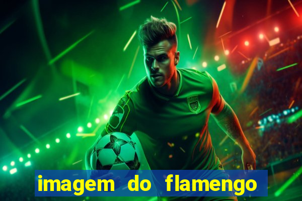 imagem do flamengo para perfil