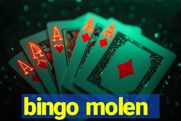 bingo molen