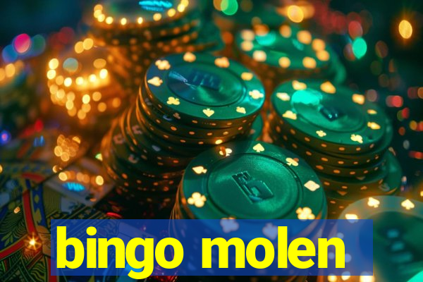 bingo molen