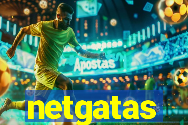 netgatas