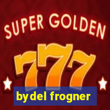 bydel frogner