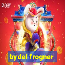 bydel frogner