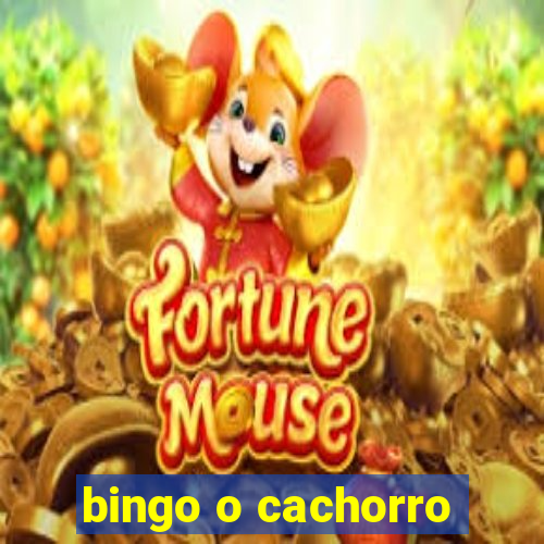 bingo o cachorro