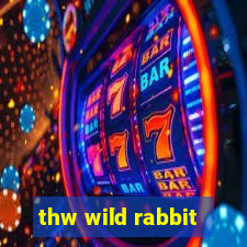 thw wild rabbit