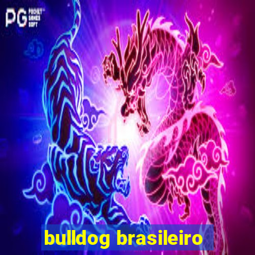 bulldog brasileiro