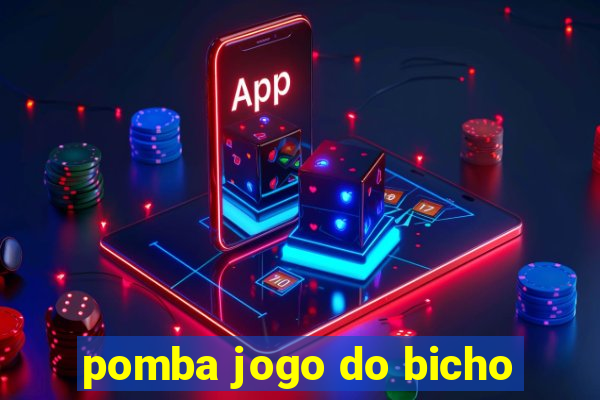 pomba jogo do bicho