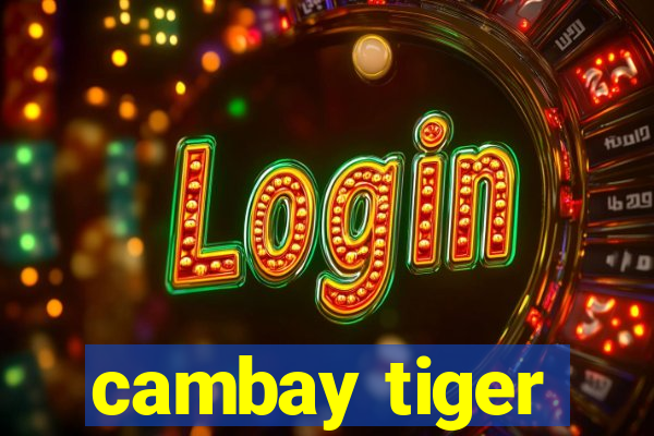 cambay tiger